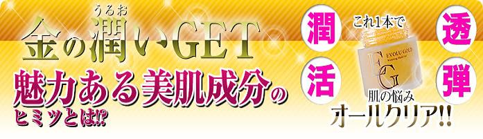 �G�{�����[�S�[���h�@�V��