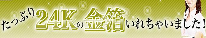�G�{�����[�S�[���h�@�V��