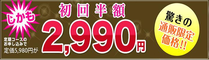 �G�{�����[�S�[���h�@�V��